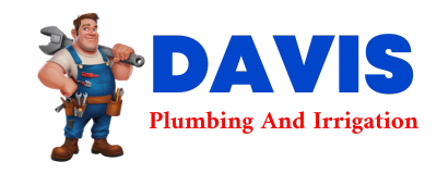 Trusted plumber in CURTICE